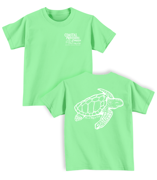 Toddler Turtle T-Shirt- Mint